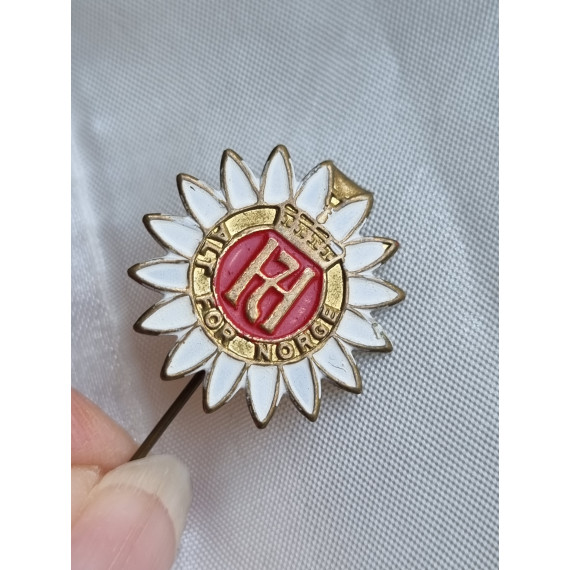 Nål med emalje H7, og "ALT FOR NORGE"