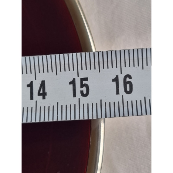 Vakkert sølv emalje fat, med diameter på 15,5 cm fra David-Andersen