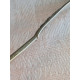 Opphøiet Rose saltskje, antikk variant, ca 6,5 cm, lett forgylt skjeblad